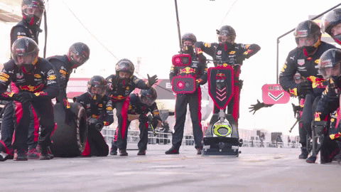 red bull f1